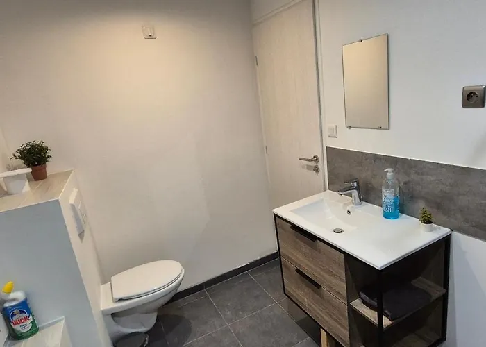 Maison A Ay Epernay, 3 Bed House, 3 Feriehus